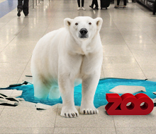 Copenhagen ZOO / Copenhagen Airport – Floor sticker